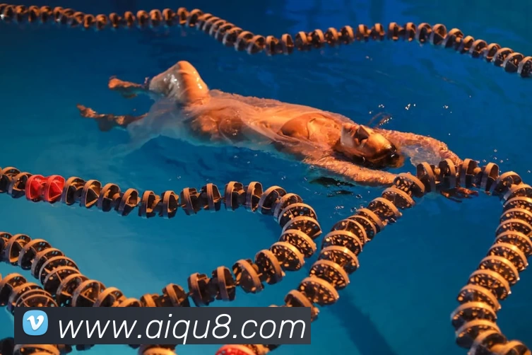 6686体育登录(中国)官方网站发展历程